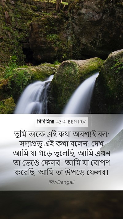 যিৰিমিয়া 45:4 BENIRV Bible Verse Image