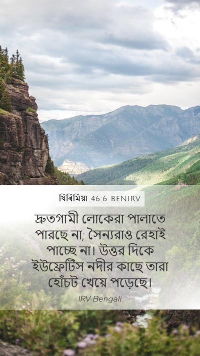 যিৰিমিয়া 46:6 BENIRV Bible Verse Image