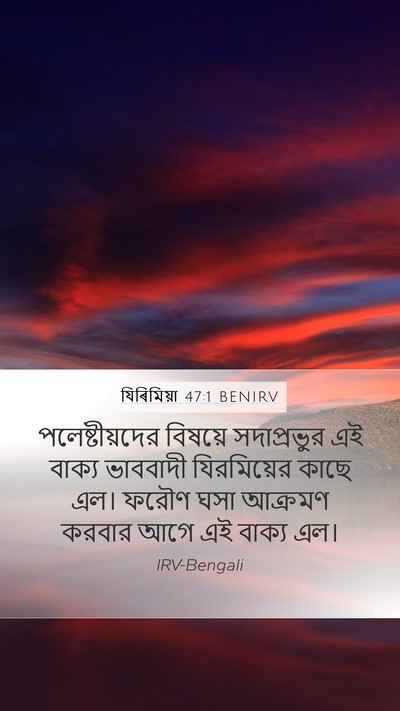 যিৰিমিয়া 47:1 BENIRV Bible Verse Image