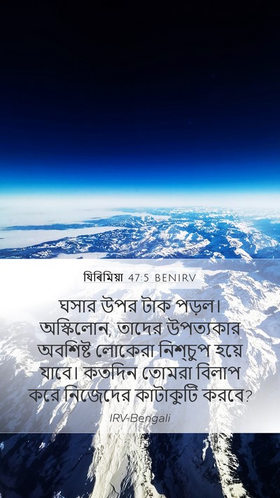 যিৰিমিয়া 47:5 BENIRV Bible Verse Image