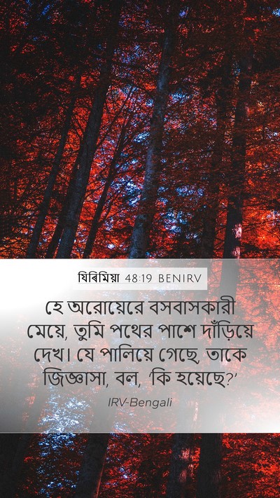 যিৰিমিয়া 48:19 BENIRV Bible Verse Image