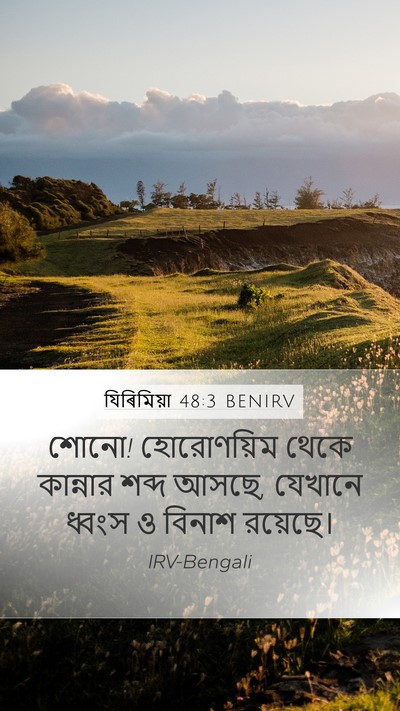 যিৰিমিয়া 48:3 BENIRV Bible Verse Image