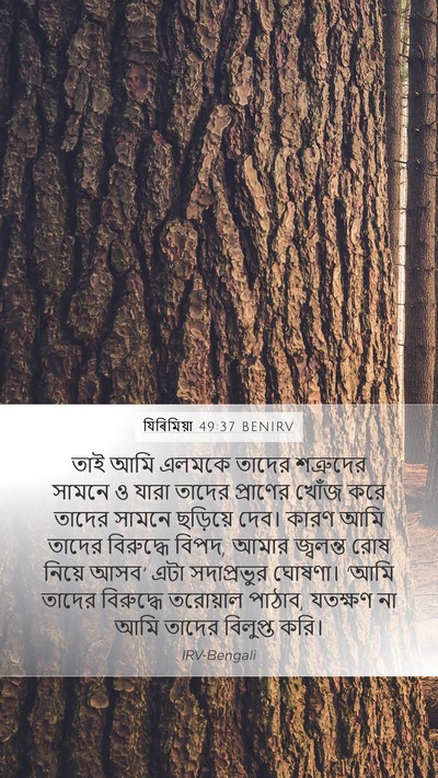 যিৰিমিয়া 49:37 BENIRV Mobile Phone Wallpaper - তাই আমি এলমকে - Mobile Bible Verse Wallpaper