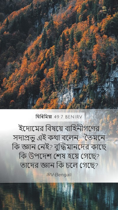 যিৰিমিয়া 49:7 BENIRV Bible Verse Image