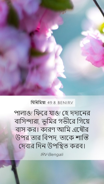 যিৰিমিয়া 49:8 BENIRV Bible Verse Image