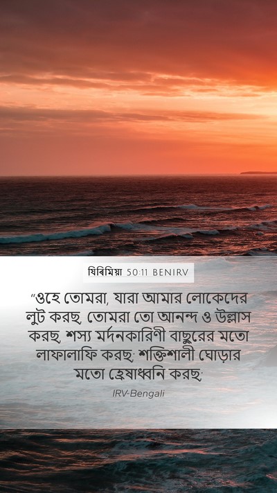 যিৰিমিয়া 50:11 BENIRV Bible Verse Image