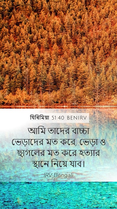 যিৰিমিয়া 51:40 BENIRV Bible Verse Image