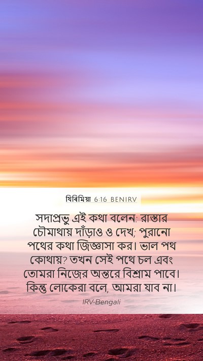 যিৰিমিয়া 6:16 BENIRV Bible Verse Image