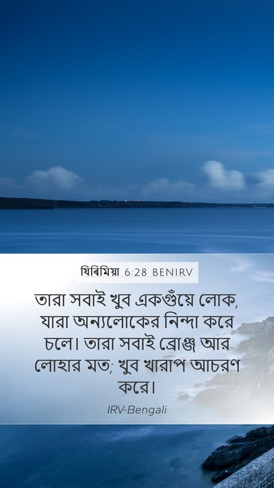 যিৰিমিয়া 6:28 BENIRV Bible Verse Image