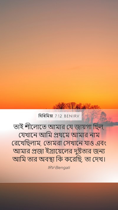 যিৰিমিয়া 7:12 BENIRV Bible Verse Image