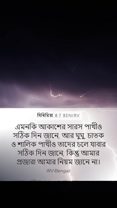যিৰিমিয়া 8:7 BENIRV Bible Verse Image