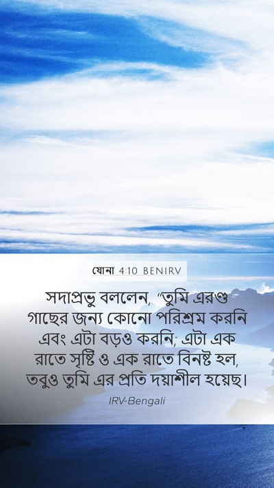 যোনা 4:10 BENIRV Bible Verse Image