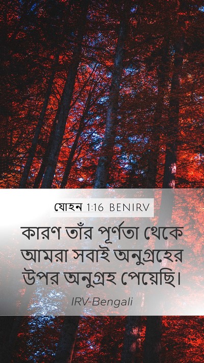 যোহন 1:16 BENIRV Bible Verse Image
