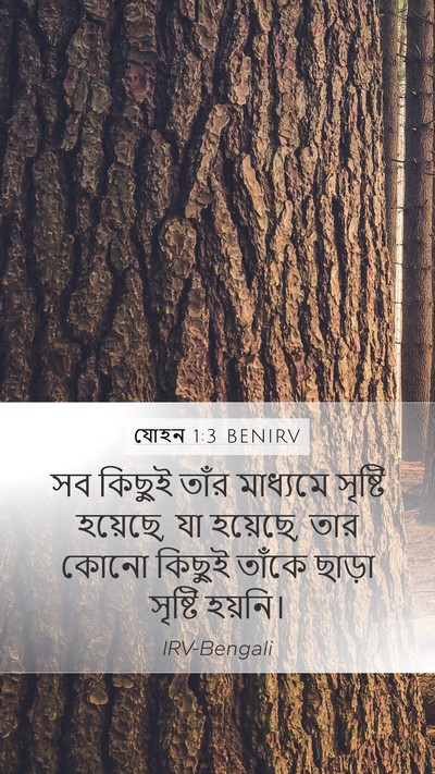 যোহন 1:3 BENIRV Bible Verse Image