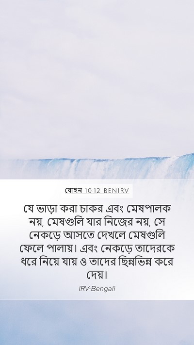 যোহন 10:12 BENIRV Bible Verse Image