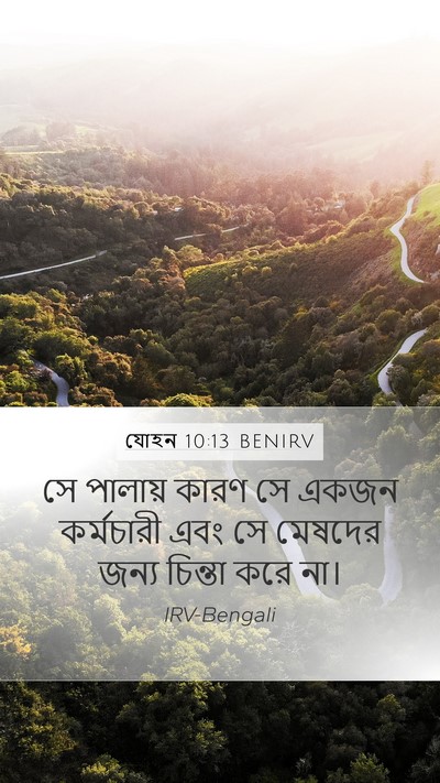 যোহন 10:13 BENIRV Mobile Phone Wallpaper - সে পালায় কারণ সে - Mobile Bible Verse Wallpaper