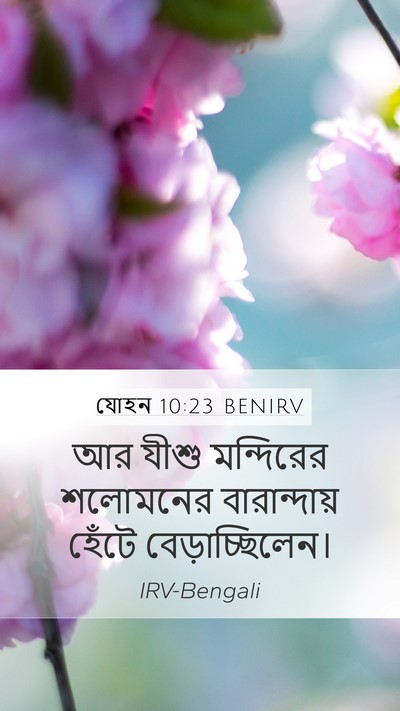 যোহন 10:23 BENIRV Bible Verse Image