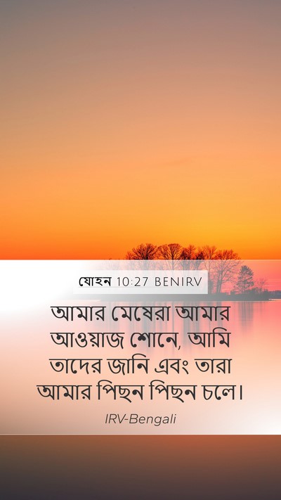 যোহন 10:27 BENIRV Bible Verse Image