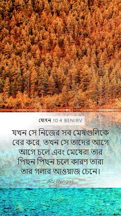 যোহন 10:4 BENIRV Mobile Phone Wallpaper - যখন সে নিজের সব - Mobile Bible Verse Wallpaper