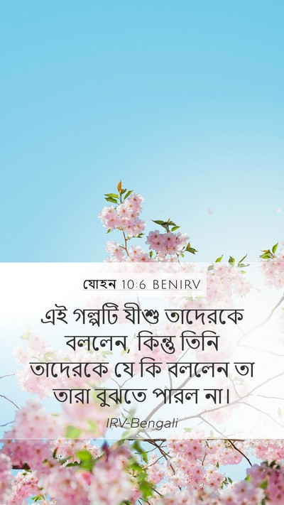 যোহন 10:6 BENIRV Bible Verse Image