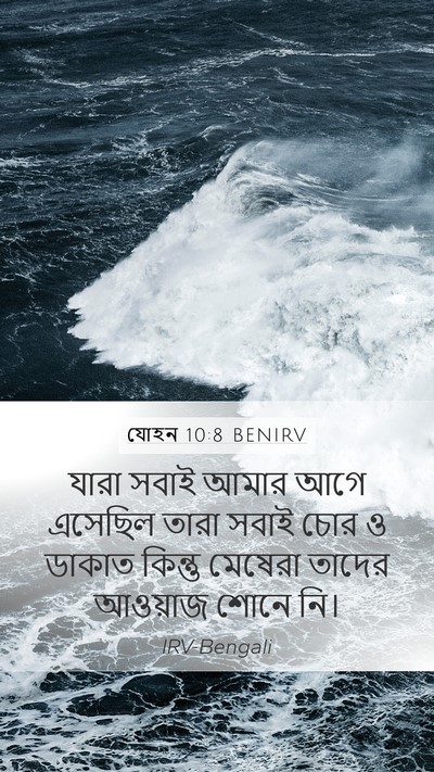 যোহন 10:8 BENIRV Bible Verse Image
