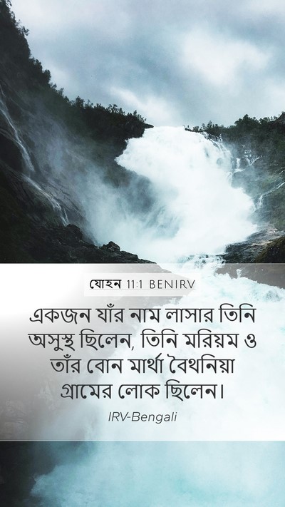 যোহন 11:1 BENIRV Bible Verse Image