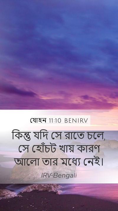 যোহন 11:10 BENIRV Bible Verse Image