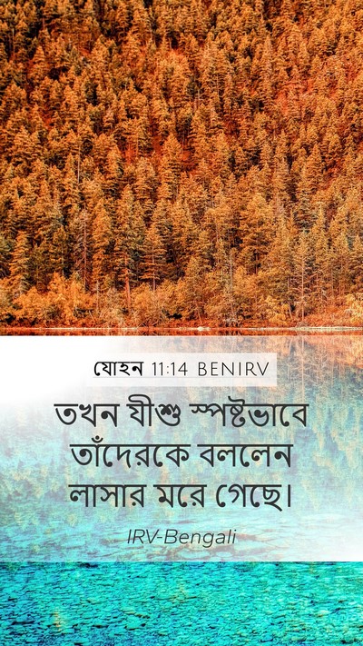 যোহন 11:14 BENIRV Bible Verse Image