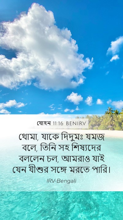 যোহন 11:16 BENIRV Bible Verse Image