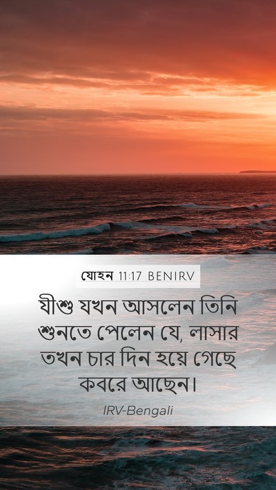 যোহন 11:17 BENIRV Mobile Phone Wallpaper - যীশু যখন আসলেন - Mobile Bible Verse Wallpaper