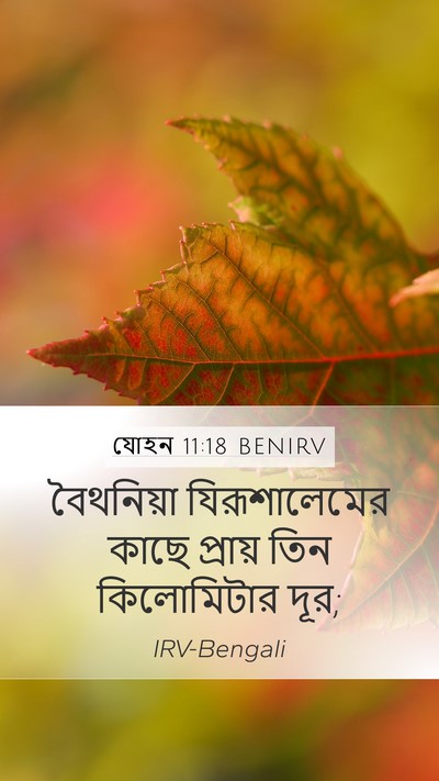 যোহন 11:18 BENIRV Bible Verse Image