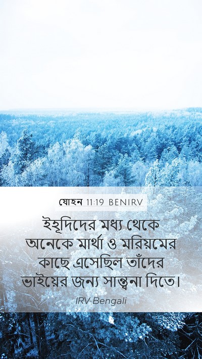 যোহন 11:19 BENIRV Bible Verse Image