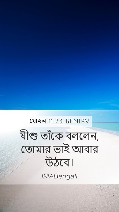 যোহন 11:23 BENIRV Bible Verse Image