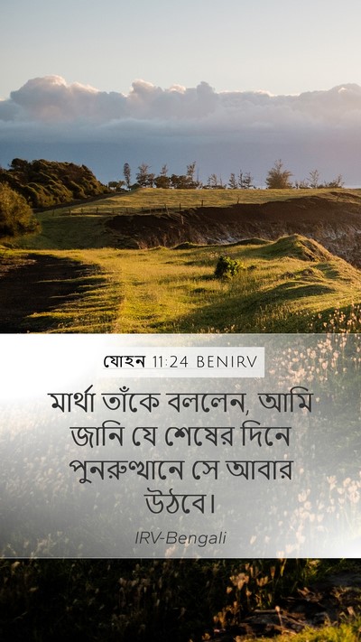 যোহন 11:24 BENIRV Mobile Phone Wallpaper - মার্থা তাঁকে - Mobile Bible Verse Wallpaper