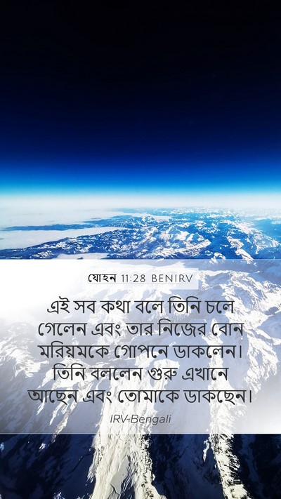 যোহন 11:28 BENIRV Bible Verse Image
