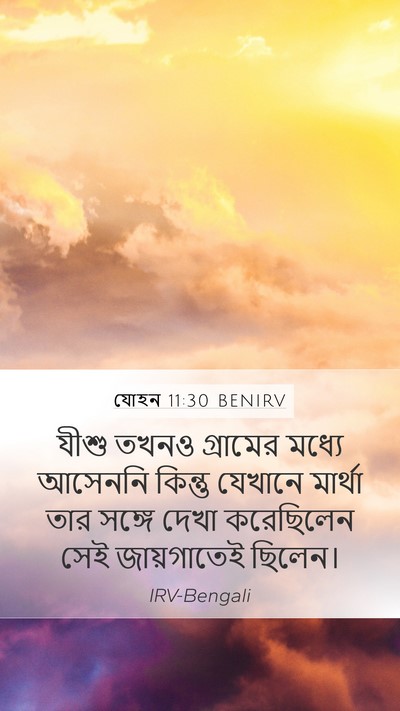 যোহন 11:30 BENIRV Bible Verse Image