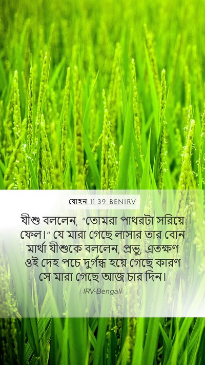 যোহন 11:39 BENIRV Bible Verse Image