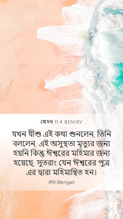 যোহন 11:4 BENIRV Bible Verse Image