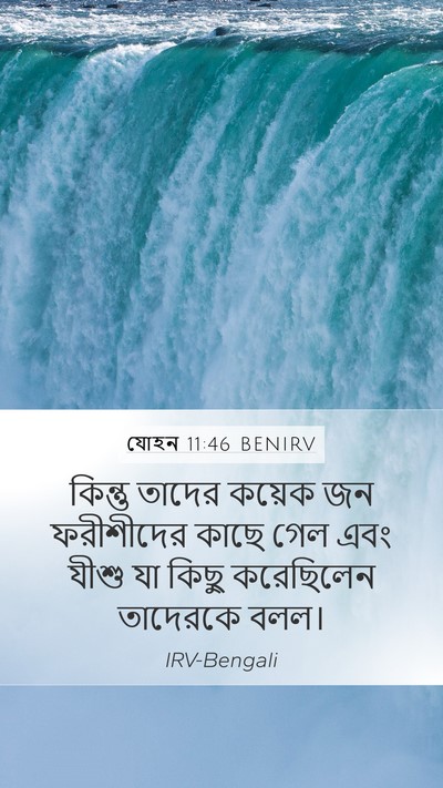 যোহন 11:46 BENIRV Bible Verse Image