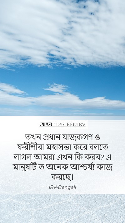 যোহন 11:47 BENIRV Bible Verse Image