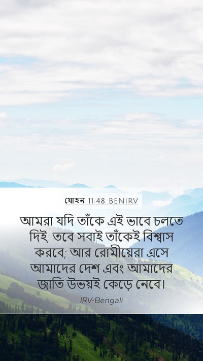 যোহন 11:48 BENIRV Bible Verse Image