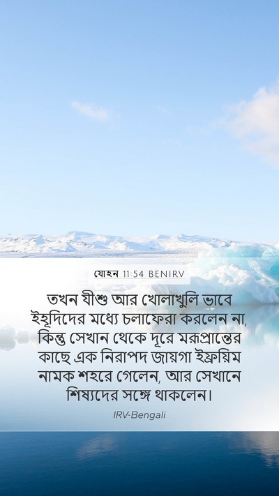 যোহন 11:54 BENIRV Bible Verse Image