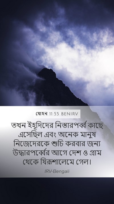 যোহন 11:55 BENIRV Bible Verse Image