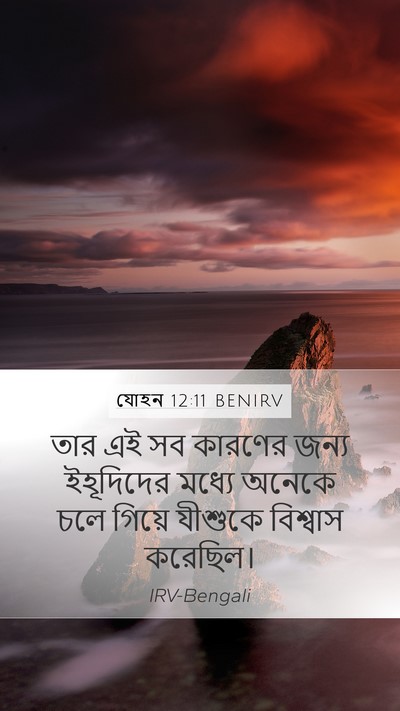 যোহন 12:11 BENIRV Bible Verse Image