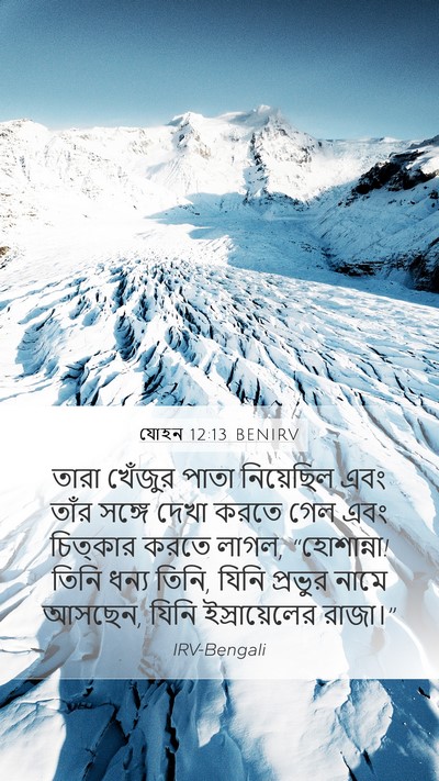 যোহন 12:13 BENIRV Bible Verse Image