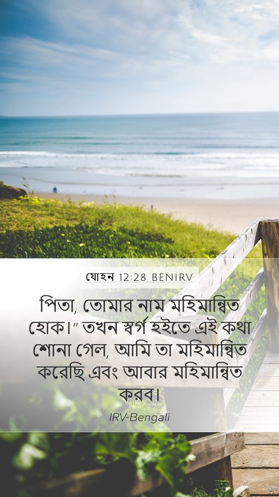 যোহন 12:28 BENIRV Bible Verse Image