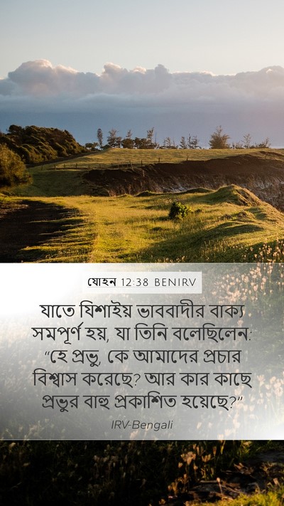যোহন 12:38 BENIRV Bible Verse Image