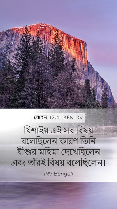 যোহন 12:41 BENIRV Bible Verse Image