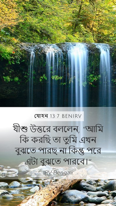 যোহন 13:7 BENIRV Bible Verse Image