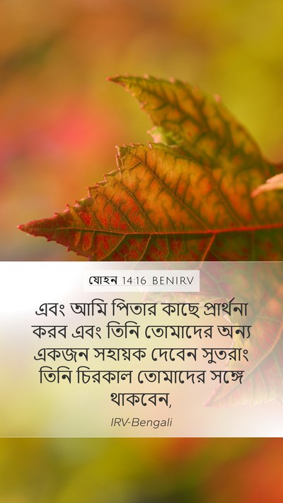 যোহন 14:16 BENIRV Bible Verse Image